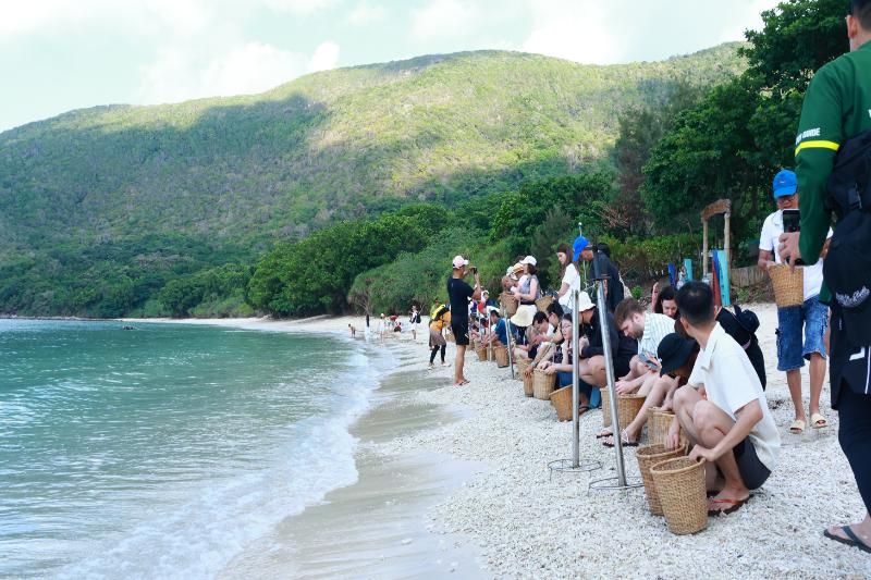 observer les tortues pondre leurs œufs à con dao (source Aucoeurvietnam)
