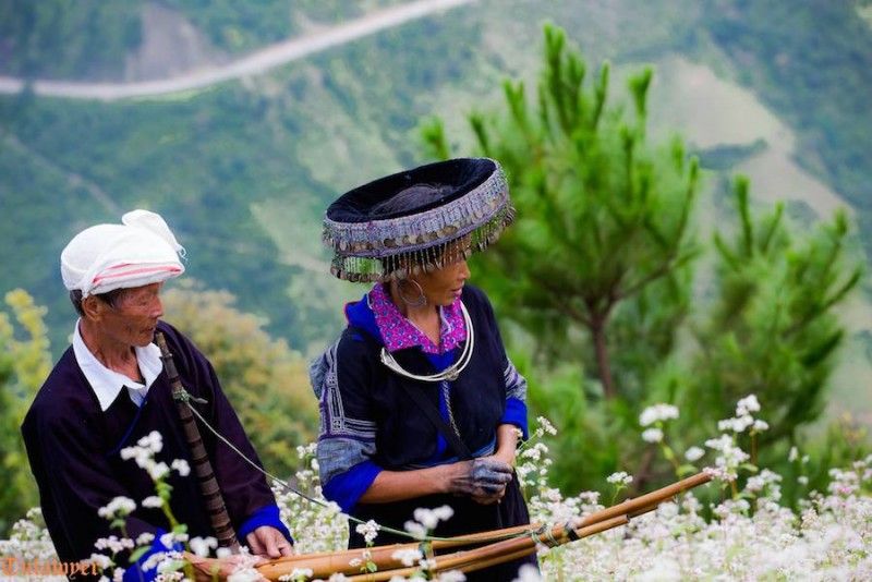 (Source : Le journal Phu Nu Viet Nam)