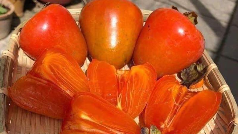 kaki - hong trung au vietnam