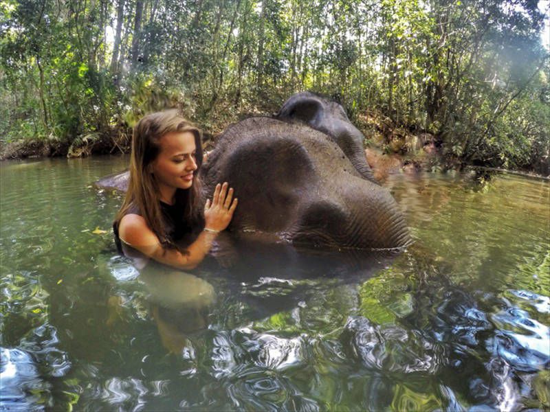 mondulkiri - visite des élephants au cambodge