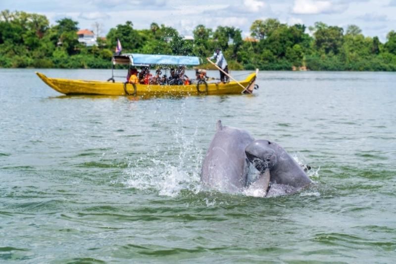 La imagen muestra un paseo en barca por el Mekong para observar delfines, situando Camboya en el mapa como un destino natural único y lleno de biodiversidad.