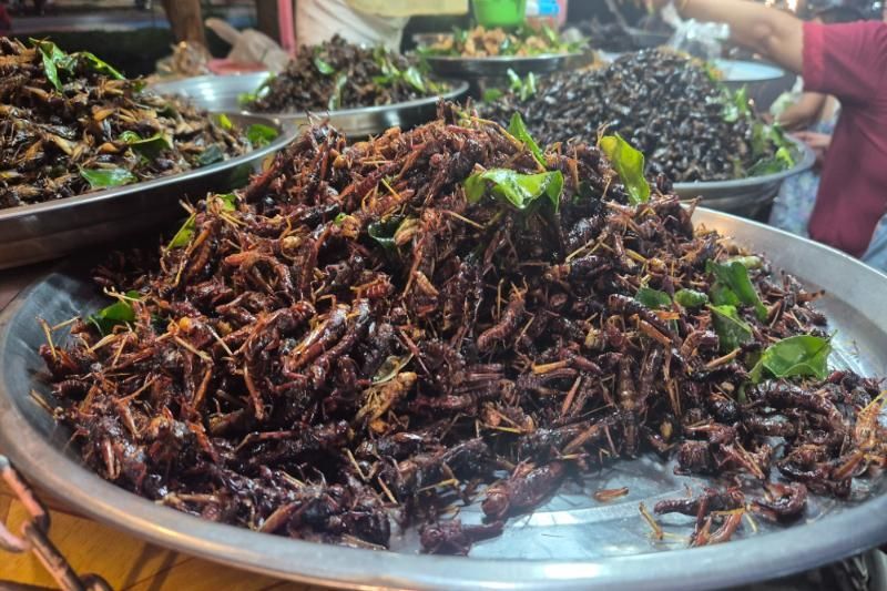 insectos fritos, crujientes y sorprendentemente codiciosos