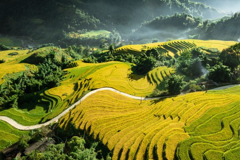 El otoño en Sapa tiñe las montañas de tonos dorados y crea paisajes tranquilos, una atmósfera perfecta para quienes disfrutan de un viaje pausado y conectado con la naturaleza, como el tiempo en Halong Bay