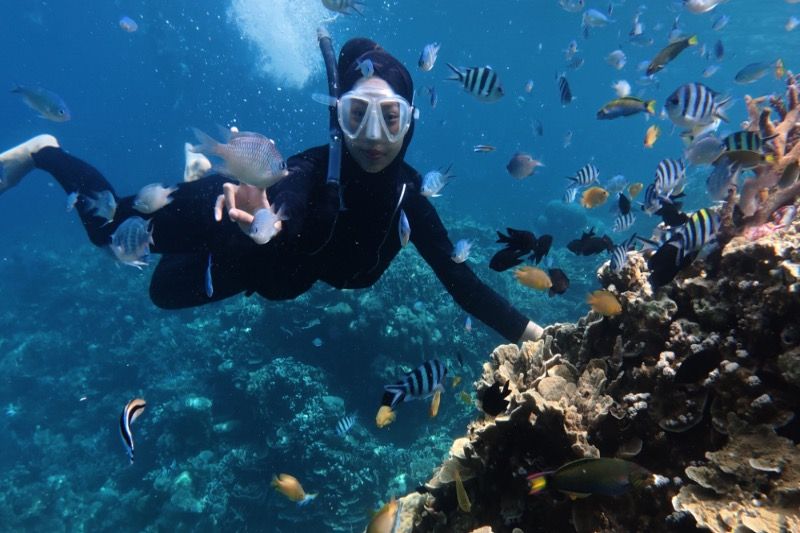 pexels-the-karimunjawa-2157624059-34840013-2