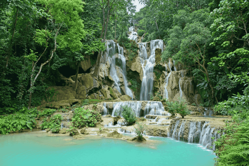 ¿qué hacer en luang prabang ? refrescarse en las cascadas kuang si