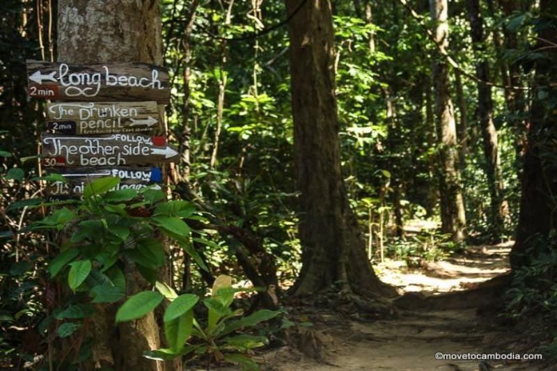 senderismo por la selva sigue las señales para descubrir todas las rutas
