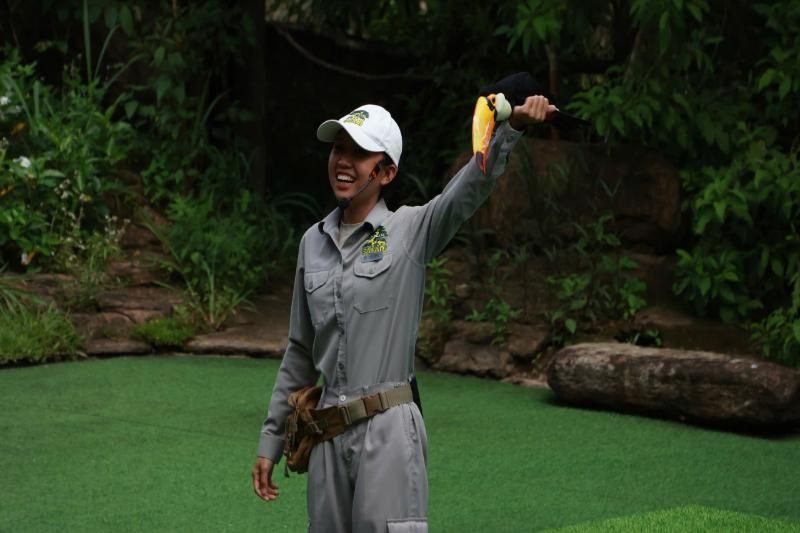 La imagen muestra un espectáculo de aves en el safari de Vinpearl, una actividad original e inolvidable para quienes se preguntan: ¿Qué hacer a Phu Quoc?