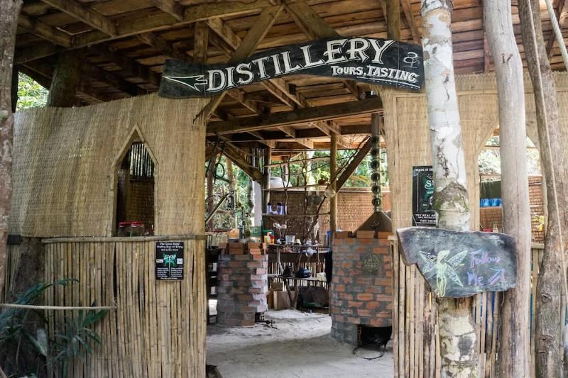 visita a la destilería syn absinthe en koh ta kiev