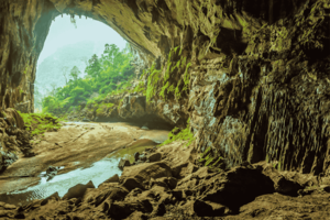 cave phong nha