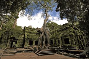ta prohm temple