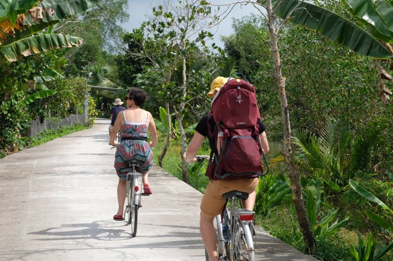 andar en bicicleta por los arrozales del delta
