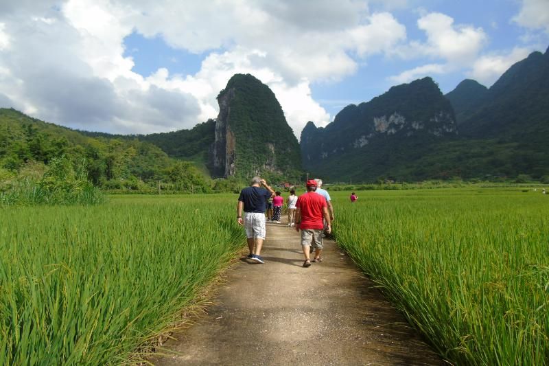 Marcher au milieu des rizières dans les montagnes du nord du Vietnam.