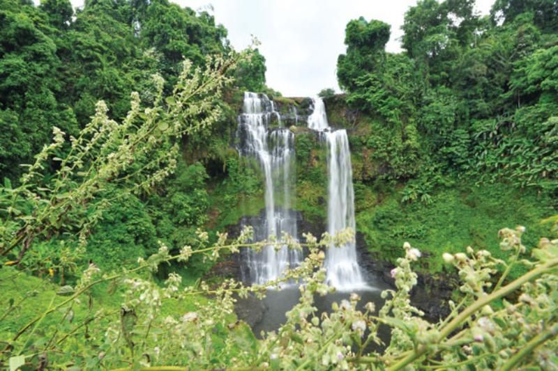 tad fane - bolaven plateau au laos (sources: doanhnhansaigon)