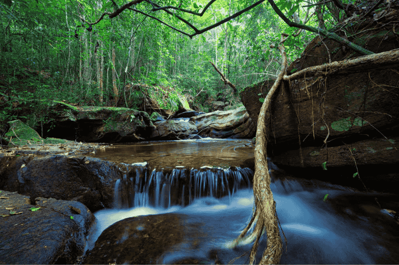 la belleza salvaje de la cascada tranh en isla de phu quoc - fuente de imagen httpswww.vietnam.vn
