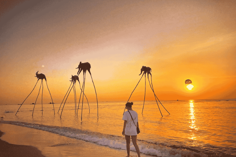 la playa de truong - fuente de imagen bamboo airways