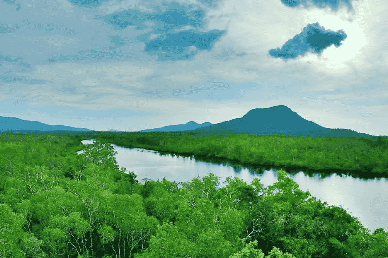 parque nacional de phu quoc - fuente de imagen tripvasor