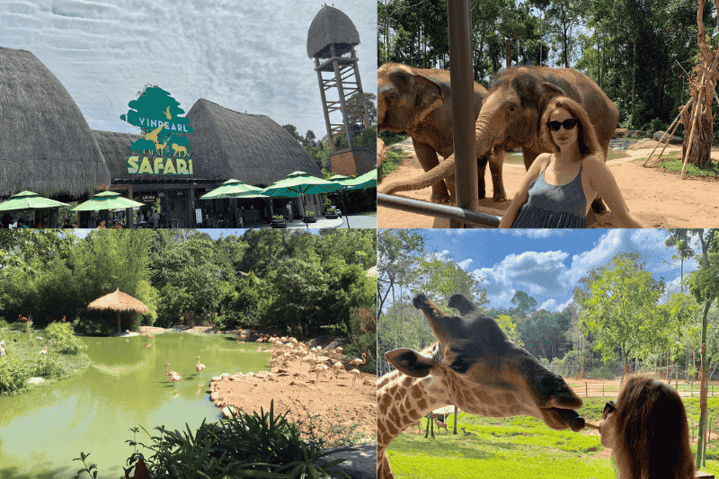 vinpearl safari de isla de phu quoc - fuente de imagenes tripvasor