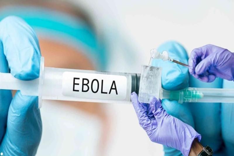ebola cest quoi (1)