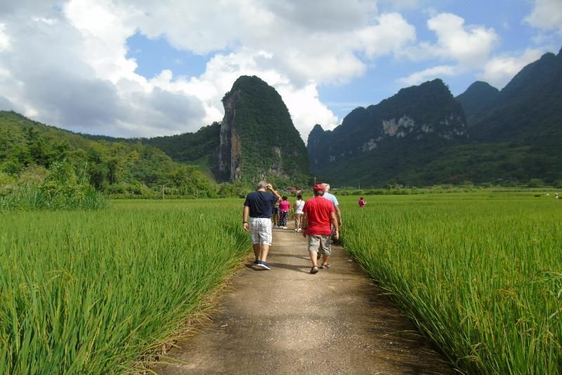 caminando por los arrozales en las montañas del norte de vietnam.
