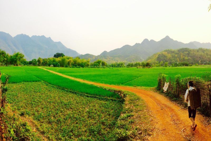 con vistas a la arrozal durante el paseo en mai chau
