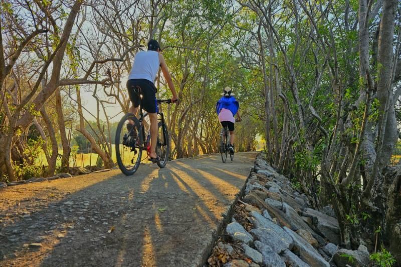 hacer ciclismo en el bosque de ru cha a hue (fuente el diario de lao dong)