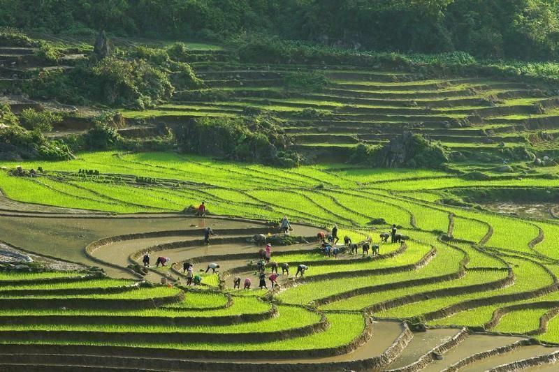 la belleza de lao chai y ta van
