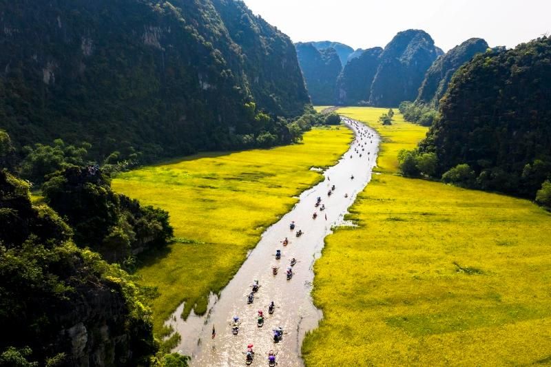 rizières de tam coc, ninh binh prennent leur célèbre couleur dorée avant la récolte