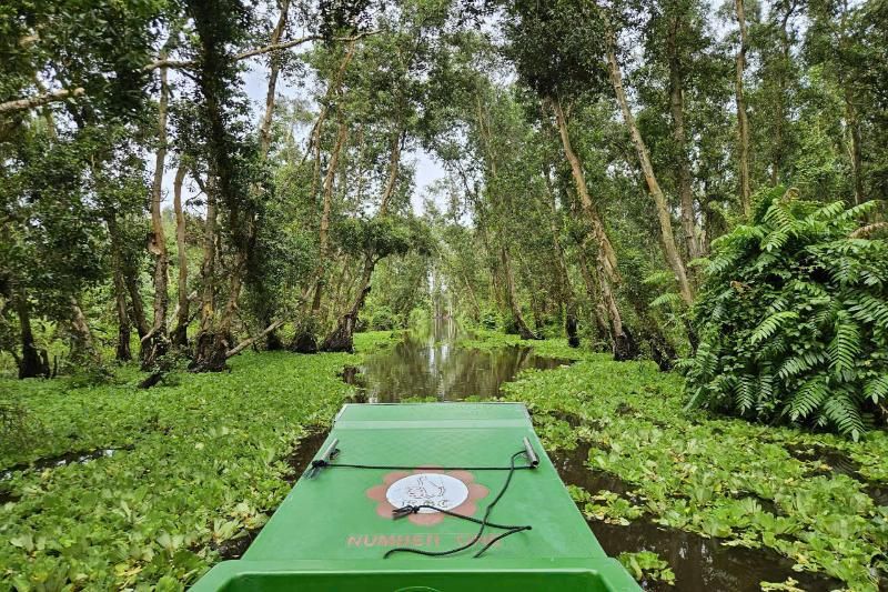 foret tra su - se balader en sampan - source aucoeurvietnam