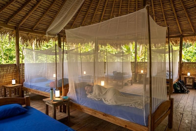 Jungle Dorms – une option abordable pour les voyageurs en quête de convivialité et de lien social