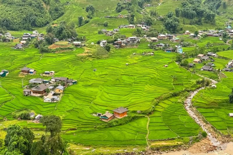riziere de terasses à mu cang chai (1)