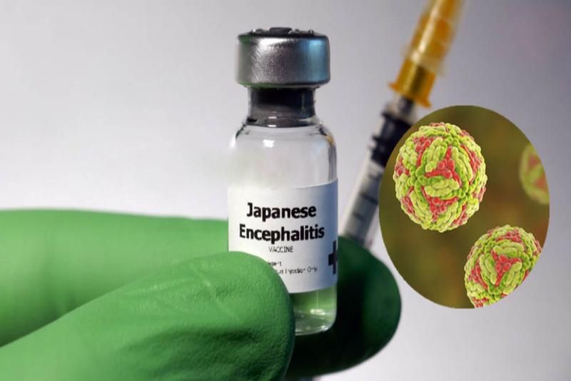 vaccine au vietnam
