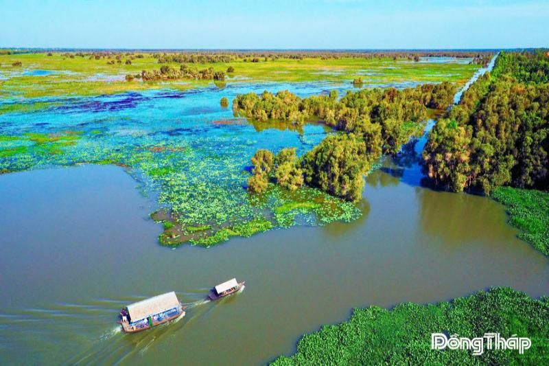 parc national tram chim - idee ideal pour les circuits vietnam du sud en sep et nov (1)