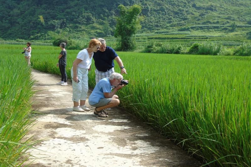 Nord vietnam
